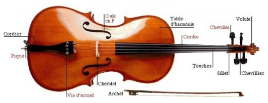 Violoncelle 3 1 small